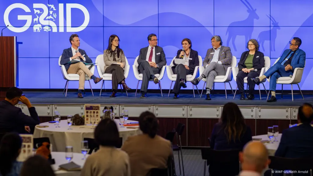 WWF launches GRID programme for transport infrastructure