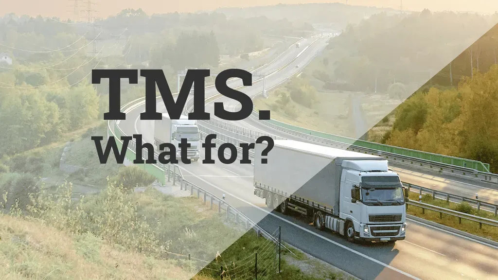 Transport Management Software: Operational Benefits