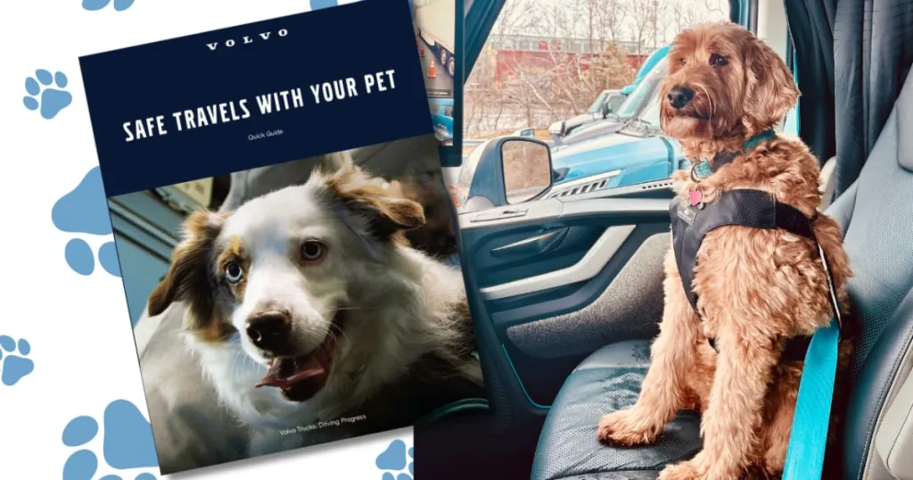 Volvo Trucks and pet-safety group issue guide for professional drivers