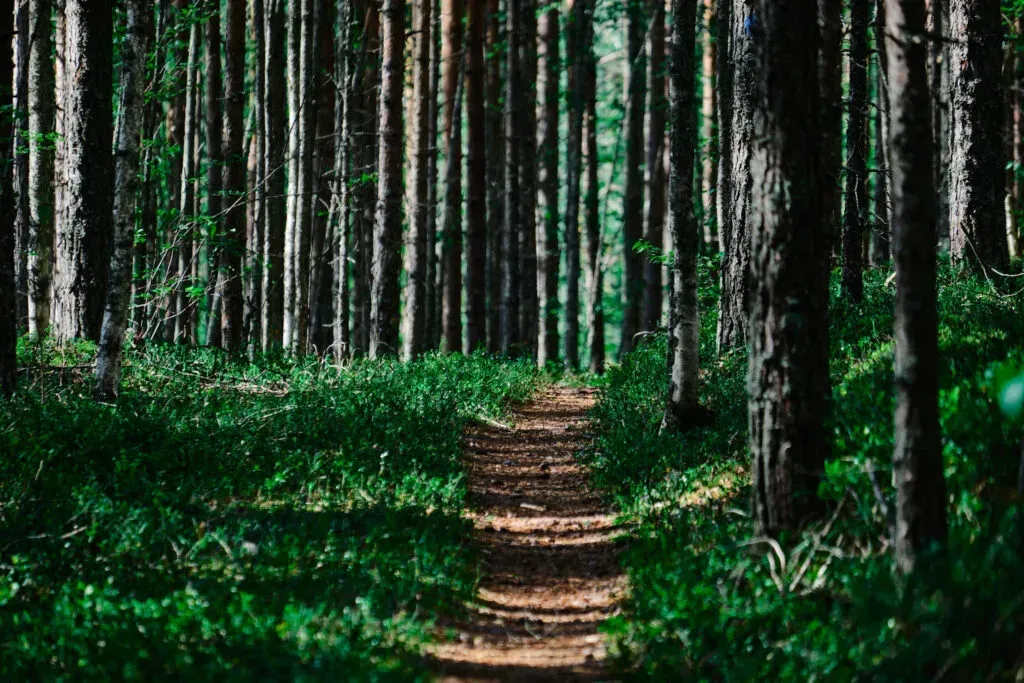 Telcos Eye Growth in B2B Through Advanced Connectivity and AI