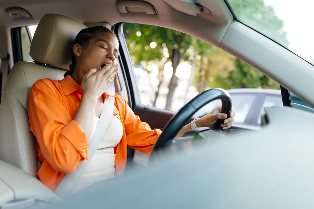 Driver fatigue: fleet safety risk