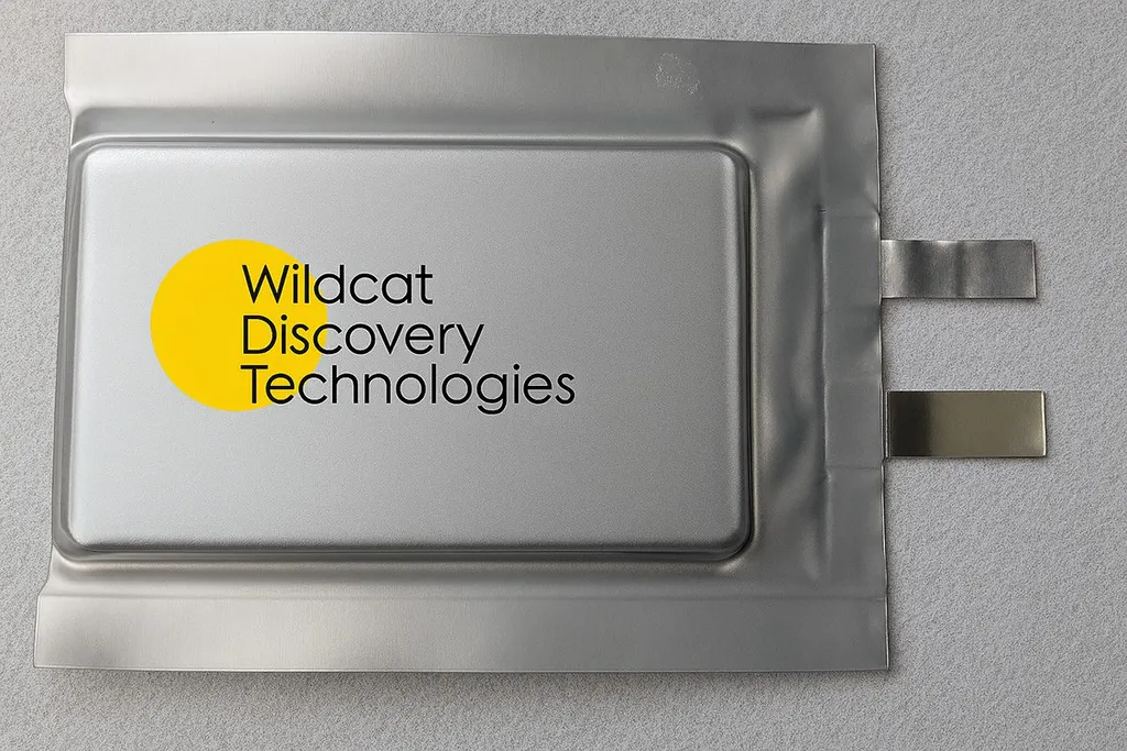 Holyvolt acquires Wildcat to scale battery materials