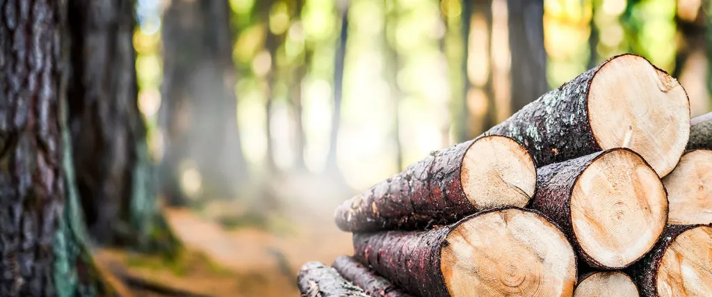 Durable Tracking Solutions for Heavy Forestry Equipment