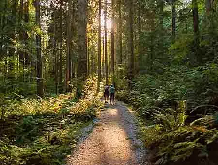 Deploying Environmentally Sustainable 5G Networks