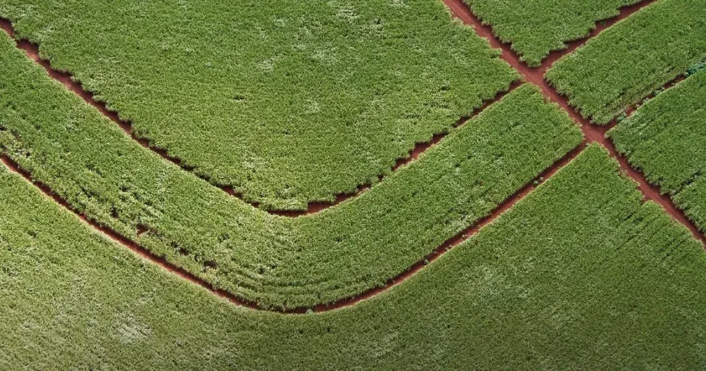 Scania's Credit Ratings Updated by Standard & Poor's