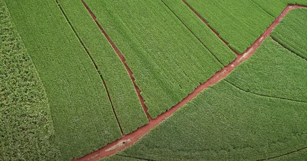 Scania Utilises Various Borrowing Programmes