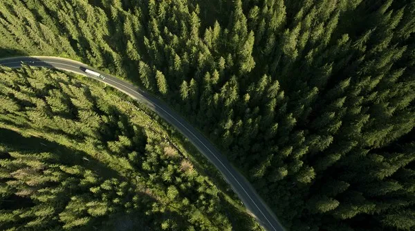 Impact of IoT on Fleet Operations in Transport Sector