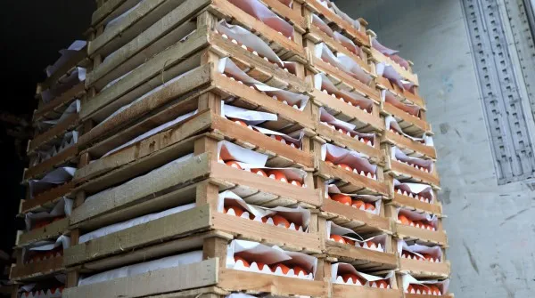 Fleet Management Enhancements in Food and Beverage Delivery