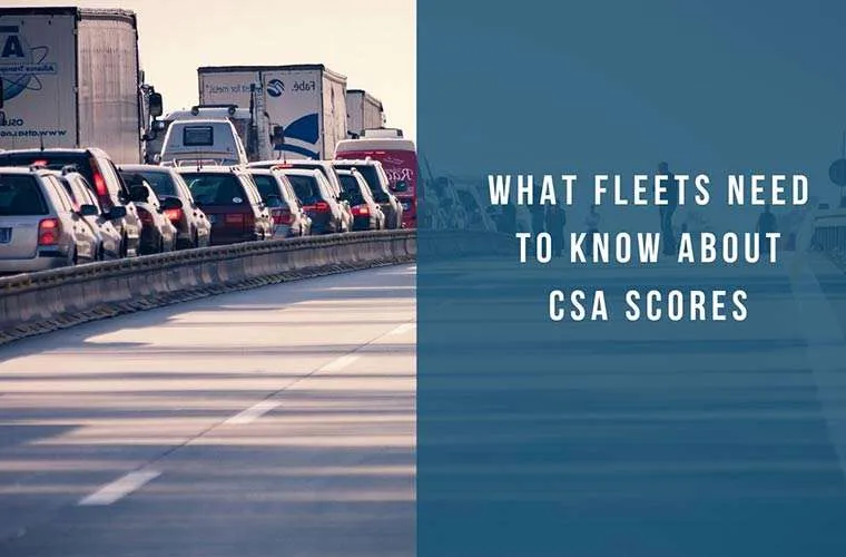 Overview of Compliance, Safety, Accountability Scores