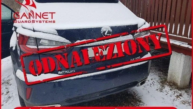 Rising SUV Popularity Linked to Increased Theft Rates