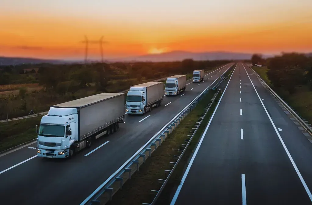 Guide to Applying for the DVS Grace Period