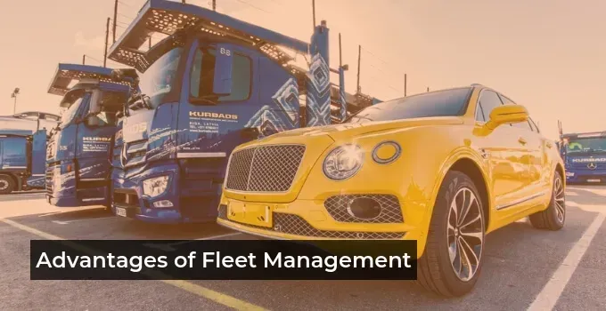 The Importance of Fleet Management for Business Efficiency