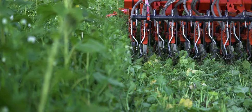 Guidance on Minimum Tillage Techniques and Direct Seeding