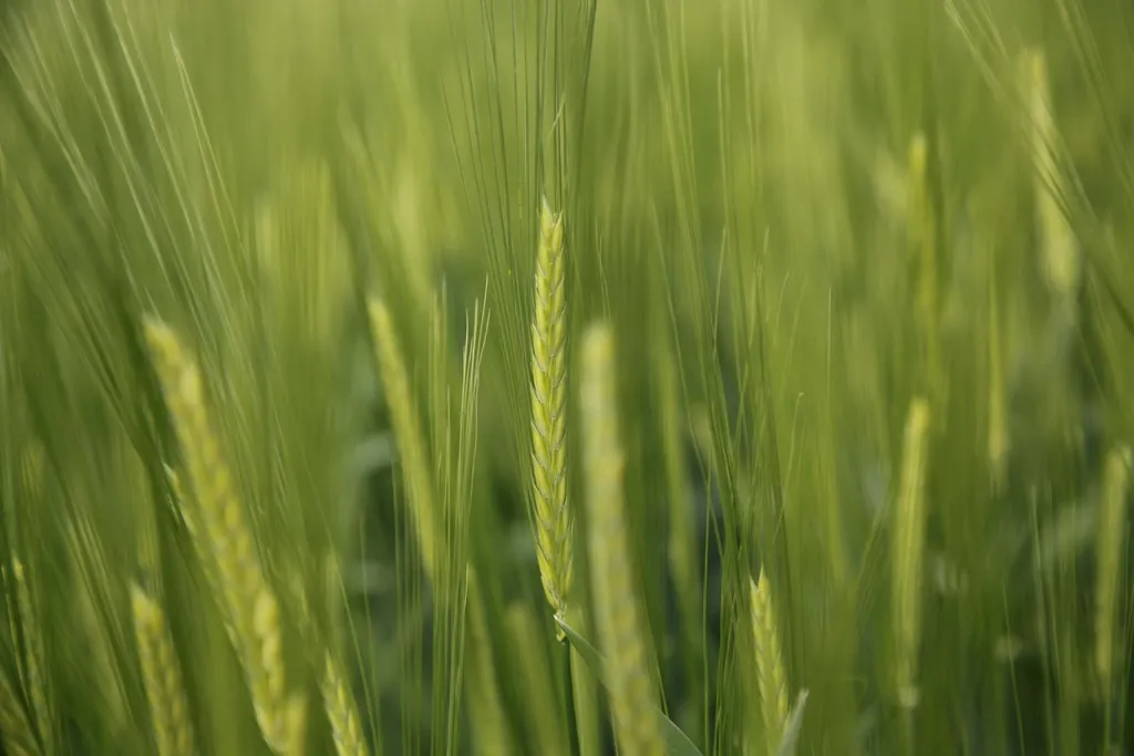 KUHN Launches Advanced Crop Care Equipment Innovations