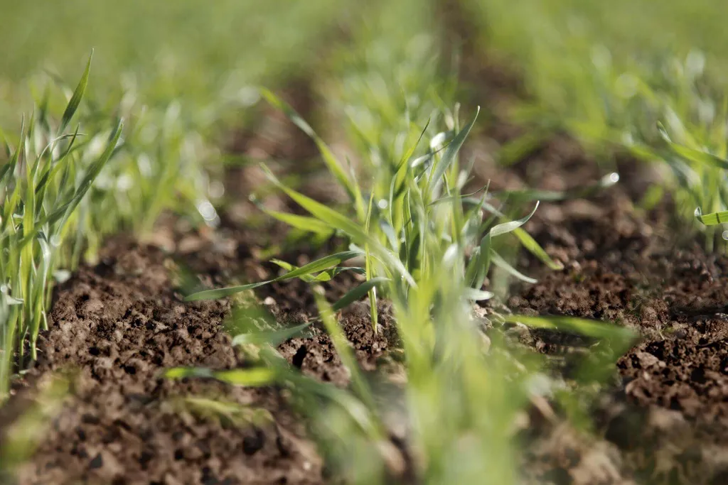 KUHN Introduces New Machinery in Tillage and Seeding