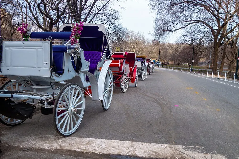 New York City bill would replace horse-drawn cabs with electric carriages