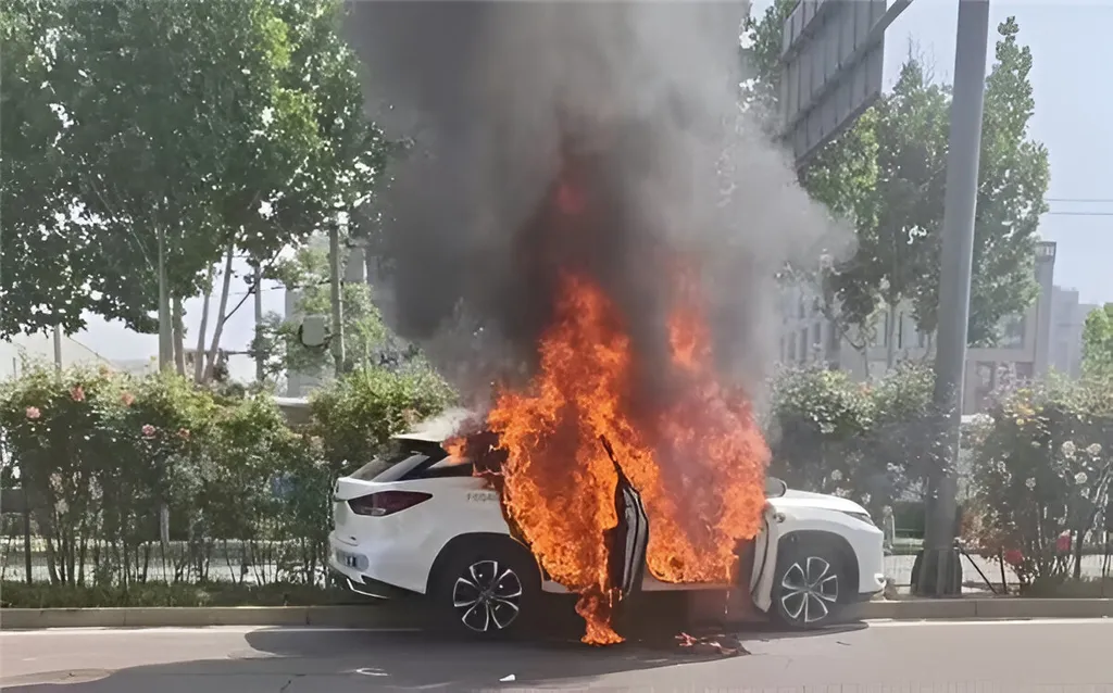 Pony.ai Robotaxi Catches Fire During Beijing Test