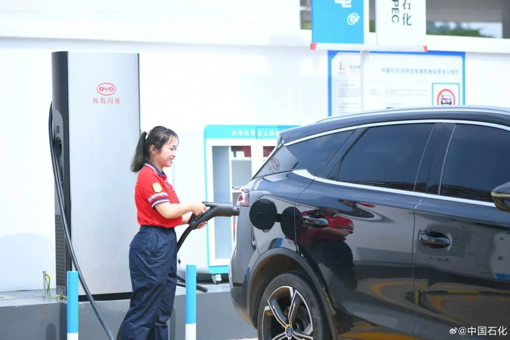 BYD to deploy 1MW EV chargers across Europe