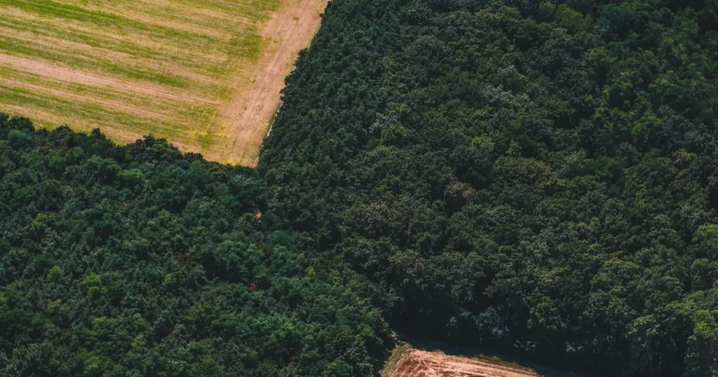MEPs reject EU regulation phasing out soy biofuels by 2030