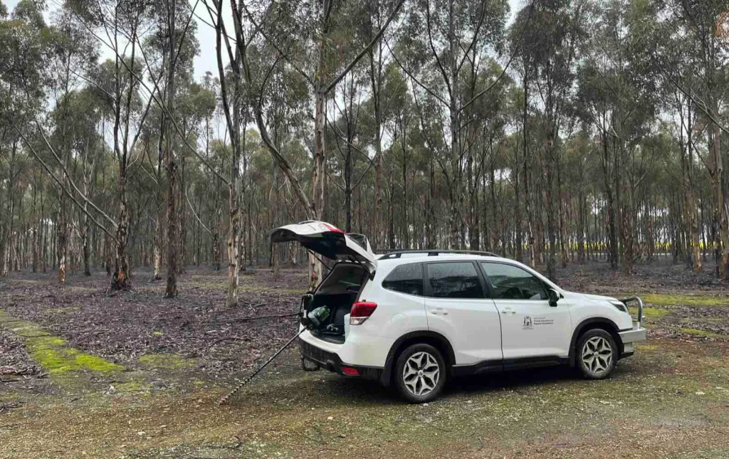 Workplace EV trial highlights regional charging and education challenges